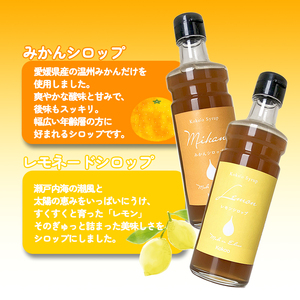 愛媛県産フルーツシロップ２本セット＜みかん・レモネード＞（簡易箱入り）｜シロップ 果実シロップ みかん レモネード 愛媛 シロップセット 【KK244】