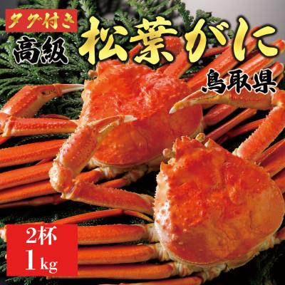 ふるさと納税 琴浦町 【2025年11月発送】特撰 松葉がに(茹)【タグ付き】1kg2杯 ※足の欠けなし N2_Y