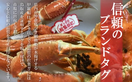 タグ付き生松葉ガニ（中650g）かに カニ 蟹 生 新鮮 かに カニ 蟹 松葉ガニ 松葉がに かに カニ 蟹 生【魚倉】