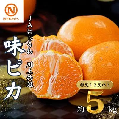 【先行受付】JAにしうわの季節の柑橘(川上共選味ピカ5kg)【E08-24】 YWTV011