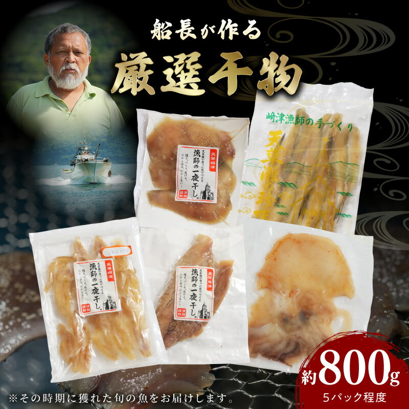 【ふるさと納税】干物 天草産魚 天日干し 一夜干し 厳選 獲れたて 旬 約 800g 4 ～ 5 種類 セット 詰め合わせ 天草灘 船長 自然の恵み 海の幸 魚介 海産物 鮮度 新鮮 冷凍 食品 グルメ 熊本県 天草市 お取り寄せ 送料無料