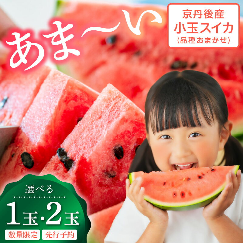【ふるさと納税】2026年夏発送【先行予約】みんな大好き！甘〜ぃ！シャリ美味！！京丹後産小玉スイカ！！1玉 2玉 選べる 個数（ひとりじめ、姫甘泉、ひめまくら、砂丘たまごから1種類）（2026年7月上旬〜発送） ふるさと納税 スイカ ふるさと納税 フルーツ ふるーつ 甘い