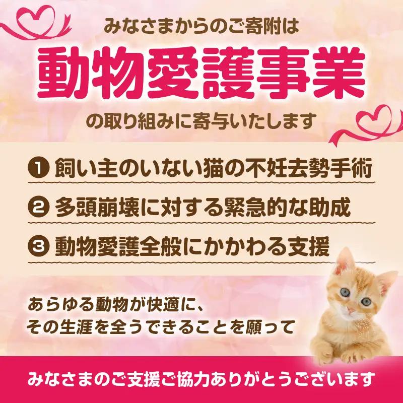 【返礼品なし】動物愛護に関することへの応援寄附(100,000円)_B001-070