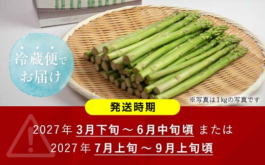 【先行予約】朝採れ新鮮アスパラ 750g（Lサイズ） (2027年3月下旬~6月中旬または2027年7月上旬~9月上旬発送) 野菜 秀品 北海道産 バーベキュー BBQ キャンプ 旬野菜 アスパラガス 栄養満点 冷蔵発送 F21X-458