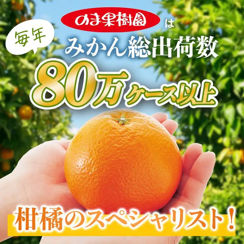 【先行予約】いよかんバラ詰め（1kg）