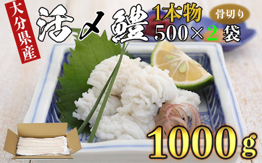 大分県産活じめ鱧（はも）1本物 骨切り切身 たっぷり 1000g  鱧 はも ハモ 鱧しゃぶ 湯引き 鱧鍋 鱧しゃぶセット 骨切り 鱧すき 天ぷら 鱧寿司 フライ 鱧ちり 鱧皮 天然鱧 冷凍 スピード発送 スピード ＜108-006_5＞