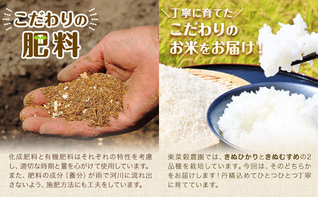 米 こめ きぬひかり きぬむすめ 10kg 東菜穀農園 《9月下旬-3月末頃出荷》 米米米