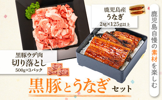 
B02071 鹿児島黒豚ウデ肉切り落とし(計1.5kg・500ｇ×3P)・うなぎ2尾セット 鹿児島 国産 九州産 黒豚 豚肉 お肉 鰻 うなぎ ウナギ うな重 うな丼 ギフト【和田養豚ミートセンター】
