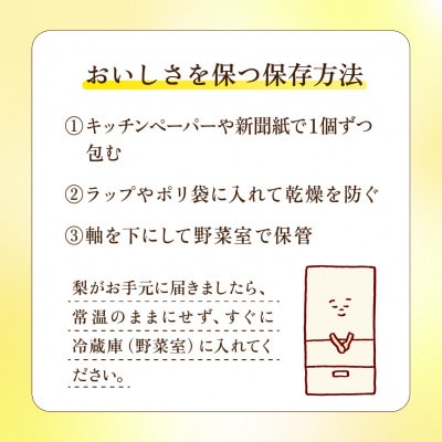 完熟甘梨 5kg 10～16玉 【2026年収穫分】かすみがうら市【配送不可地域：離島・沖縄県】