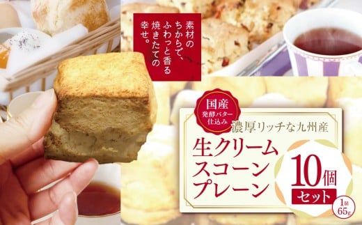 国産発酵バター仕込み濃厚リッチな九州産生クリームスコーン プレーン10個セット | お菓子 菓子 おかし 洋菓子 焼き菓子 イギリス菓子 プレーンスコーン おやつ デザート スイーツ 手作り ティータイム アフタヌーンティー 大分県 中津市