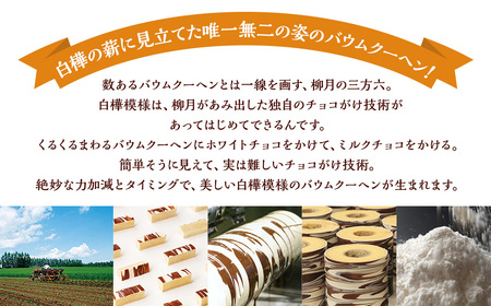 「柳月」三方六の小割 5個入×3セット（合計15個）【B78】 お菓子 バウムクーヘン