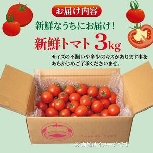 新鮮トマト 3kg 【安田町産】 ｜ トマト TR-04