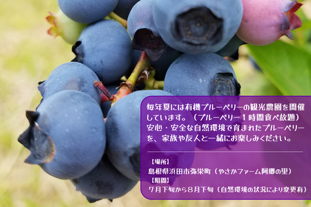 有機ブルーベリー狩り体験2名様（浜田市弥栄町「やさかファーム阿郷の里」） 【208_0002】
