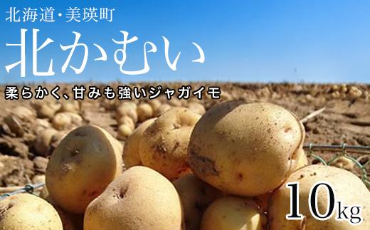 
            【先行予約】じゃがいも 10kg 北かむい <令和7年産 >松本農場   | きたかむい キタカムイ 秋野菜 10kg 人気 おすすめ ランキング いも 芋 イモ じゃがいも ジャガイモ 野菜[012-177]
          