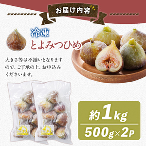 訳あり！冷凍 いちじく とよみつひめ (計1kg・500g×2袋) 冷凍 いちじく イチジク フルーツ 果物 くだもの 福岡限定 オリジナルブランド シャーベット コンポート パンケーキ 訳アリ 真空