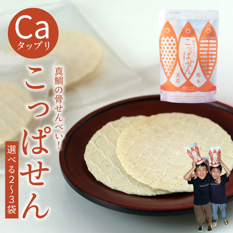 【ふるさと納税】鯛骨せんべい こっぱせん 選べる 内容量 2袋 3袋 せんべい 押し焼き 真鯛風味 薄い パリパリ 保存料不使用 カルシウム 和菓子 茶菓子 お菓子 おやつ 間食 手土産 おつまみ 食品 SDGs 食品ロス削減 お取り寄せ 熊本県 天草市 送料無料
