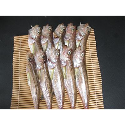 ふるさと納税 宮津市 ハタハタ(特大)　干物　一夜干し　450g×1箱