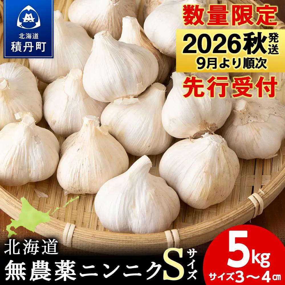 【数量限定】予約販売　無農薬ニンニク5kg（500g×10袋）無農薬 にんにくガーリック