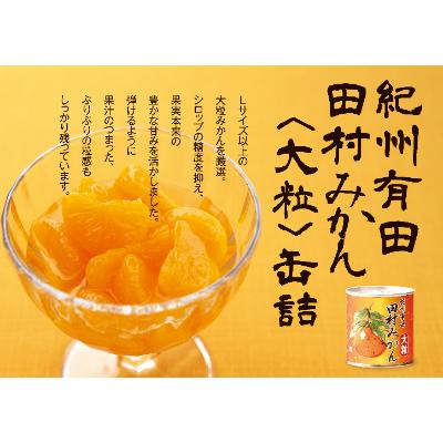 ふるさと納税 湯浅町 小南農園　田村みかん缶詰12個 |  | 01