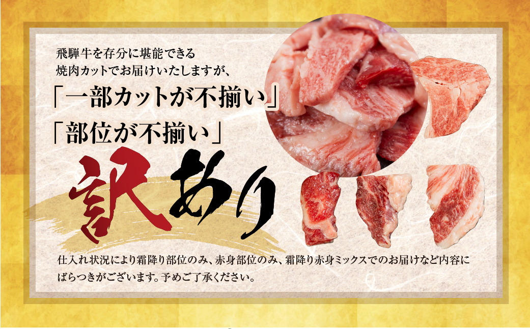 飛騨牛 焼肉 切り落とし 500g × 2 計 1kg | 牛肉 肉 切落し わけあり 訳あり商品 ワケアリ 不揃い 小分け 切り落とし小分け 冷凍 すぐ届く 本巣市 トキノ屋 食品 訳有 焼肉セット