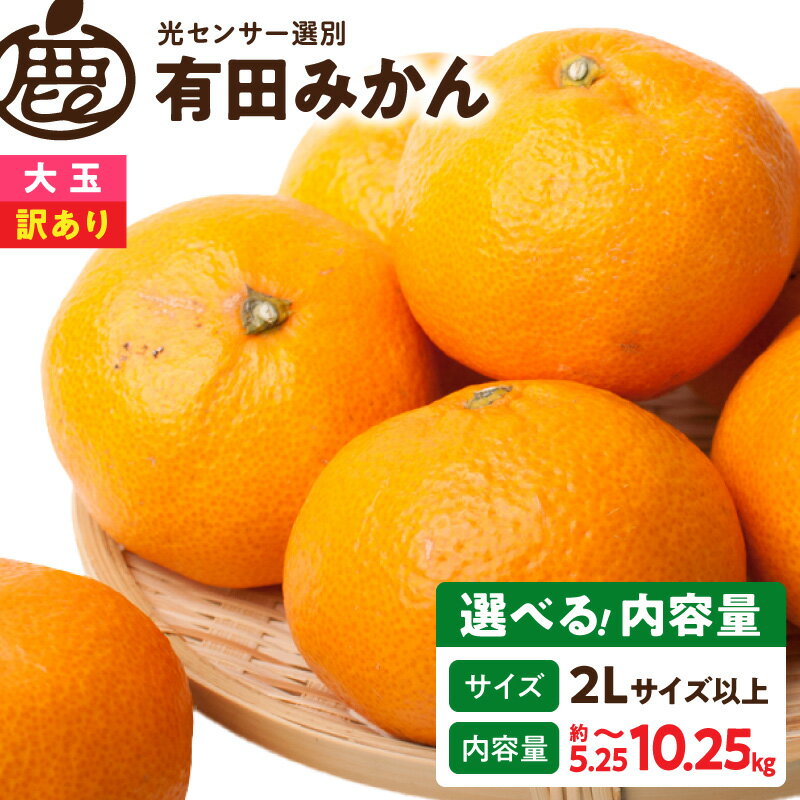 【ふるさと納税】【限定】 家庭用 訳あり 有田みかん 選べる 内容量 約 5kg 7.5kg 10kg サイズ混合 傷み補償 250g 果汁 濃縮 濃厚 光センサー選果 農家直送 大玉 みかん フルーツ 果物 柑橘 お取り寄せ 和歌山県 湯浅町 送料無料