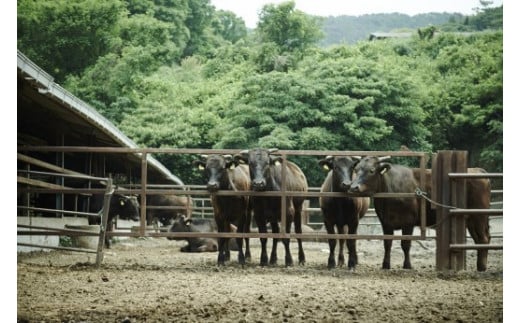 【数量限定】牧場直売「淡路姫和牛」たれ漬　800g（400g×2パック）