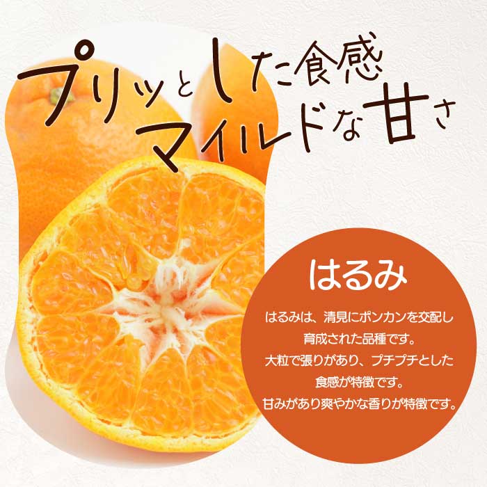 【おくはち農園】〈訳あり〉はるみ 4.5kg  《2027年2～3月発送予定》栽培期間中 防腐剤 ワックス 不使用 旬 柑橘 かんきつ フルーツ 果物 瀬戸内 166008