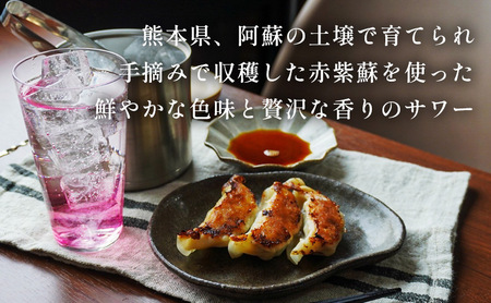 サワー HiNODE 赤しそ サワーの素 500ml×12本 1ケース キング醸造 チューハイ コンク 割り材 希釈 リキュール お酒 酒 アルコール 飲み物 飲料 ギフト 兵庫 兵庫県 稲美町