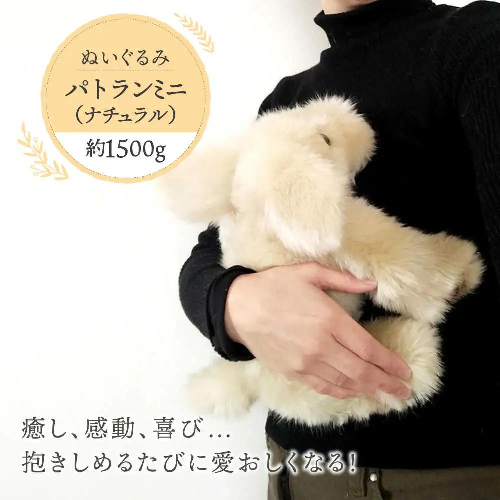 パトランミニ・ナチュラル 糸島市 / 科学工房未来 犬 ペット ぬいぐるみ [AYI007]
