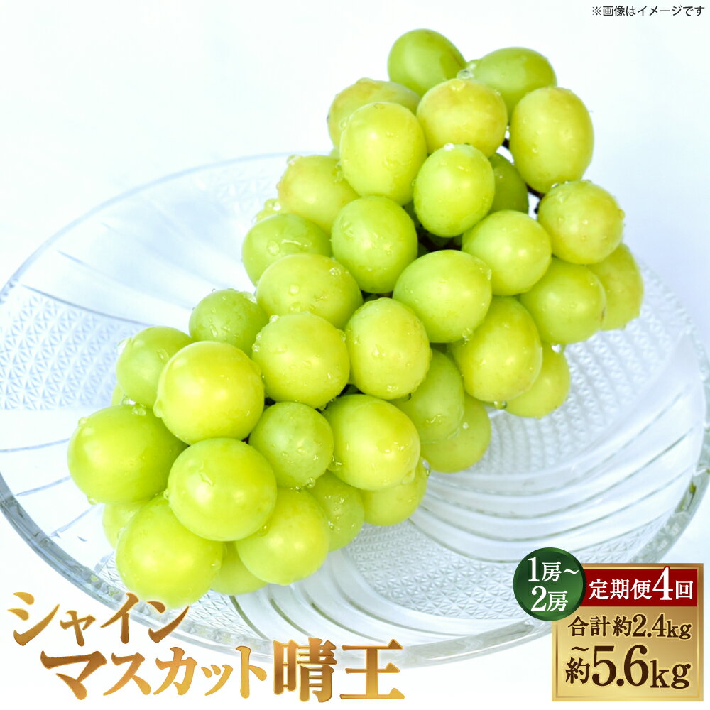 【ふるさと納税】＜選べる内容量＞[HS]【4回定期便】温室・露地 シャインマスカット 晴王 1回あたり1房 / 2房 約600g / 約700g / 計約1.2kg / 計約1.4kg ぶどう ブドウ 葡萄 フルーツ くだもの 果物 冷蔵 国産 岡山県産 倉敷市 送料無料 【2026年7月上旬～10月下旬発送予定】
