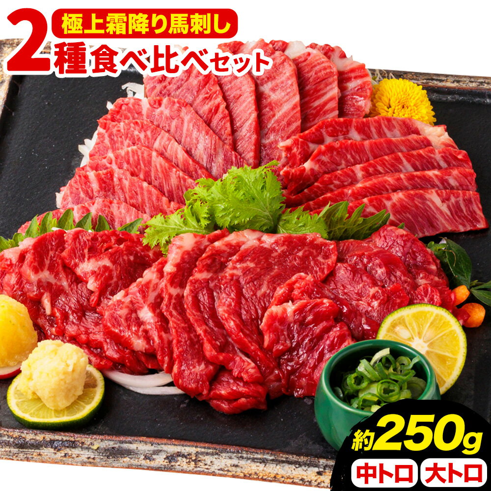 【ふるさと納税】馬刺し 極上 霜降り 2種 食べ比べ セット 株式会社利他フーズ《30日以内に出荷予定(土日祝除く)》 中トロ 大トロ 国産 冷凍 生食用 肉 馬肉 ふるさと納税馬刺し 熊本県 南阿蘇村 送料無料 馬刺 ばさし 名物
