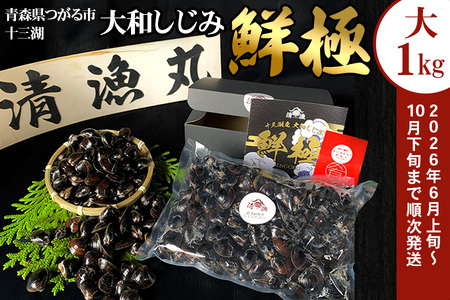 十三湖産 大和しじみ -鮮極- 大貝 1kg (500g×2パック)｜ヤマトシジミ貝 青森 津軽 十三湖 つがる みそ汁 冷蔵 生しじみ しじみ 貝 国産 大粒 しじみ汁 [0924]