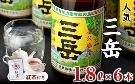 焼酎一升瓶　三岳6本+紅茶セットプラケース