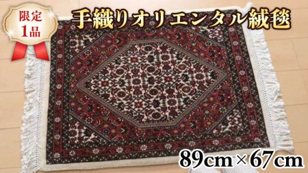 【限定1品】ビジャー産 手織り 絨毯 ラグマット カーペット／ウール 玄関マットサイズ 89×67cm 高品質 じゅうたん ラグ（FS-22129） 絨毯 手織り モダン クラシック 玄関マット エントランスマット 寝室 和室 床暖房 ホットカーペット対応 じゅうたん ラグ 高密度 繊細 美しい ラグマット カーペット エレガント インテリア