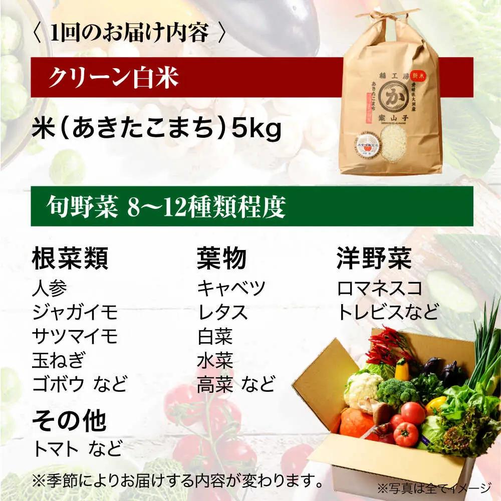 お米 定期便【全12回 】お米 5kg+旬野菜 セット[AGBX011]