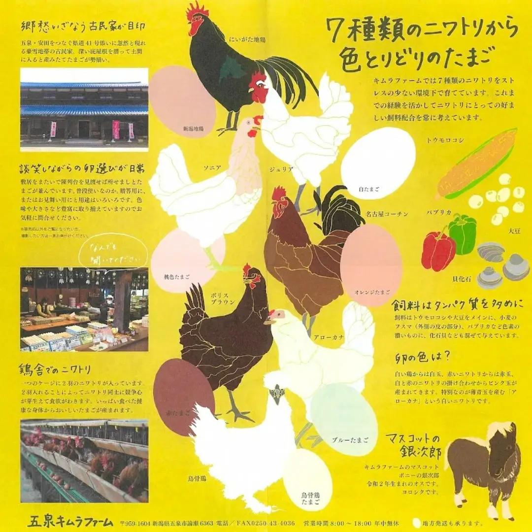 卵 定期便 6ヶ月 産みたて 赤たまご60個（Mサイズ）