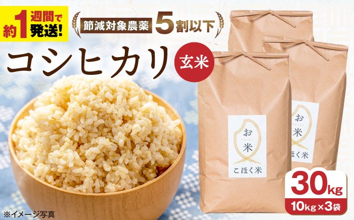
                  【 令和7年産】こしひかり 玄米 10kg × 3袋 30kg 農家直送 コシヒカリ 米 ご飯 玄米 ごはん おにぎり お弁当 お米 滋賀県 長浜市/株式会社エース物産 [AQAK007]
                