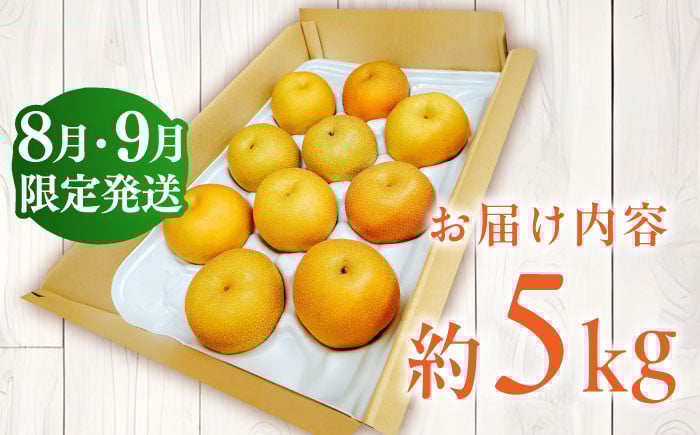 梨 果物 豊水5kg なし 梨 旬 おいしい