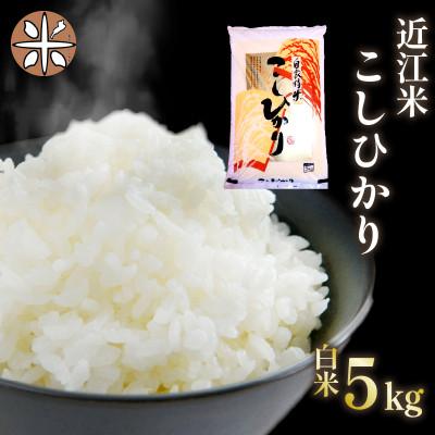 ふるさと納税 竜王町 令和7年産  近江米 こしひかり 白米 5kg