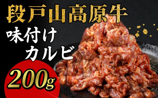 
            段戸山高原牛 国産牛 味付けカルビ焼き肉用 200g 炒め用 幻の牛 国産 牛肉 牛 小分け 地域 限定 厳選 人気 薄切り 牛丼 肉じゃが 焼肉 肉 カルビ 数量限定 キャンプ バーベキュー お試し 小分け 肉 日本酒 -092
          