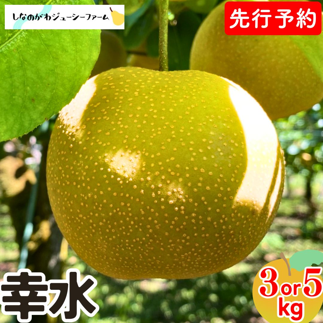 【ふるさと納税】 先行予約 和梨 幸水 約3kg・約5kg 令和8年度 選べる数量 新潟県 三条市産 梨 冷蔵 [しなのがわジューシーファーム]