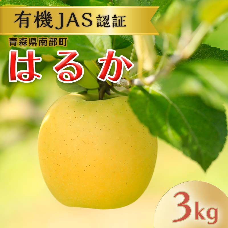 【ふるさと納税】 ≪先行予約≫有機JAS認証 りんご はるか 約3kg 【和楽堂りんご養生農苑】青森りんご リンゴ 林檎 アップル 果物 くだもの フルーツ オーガニック 無農薬 おすすめ あおもり 青森県 三戸 南部町F21U-324