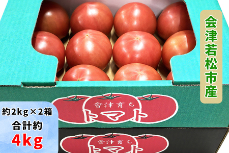 会津若松市産 トマト 約4kg｜2025年産 令和7年産 とまと 野菜 サラダ 新鮮 農協 会津産 会津若松 [0767]