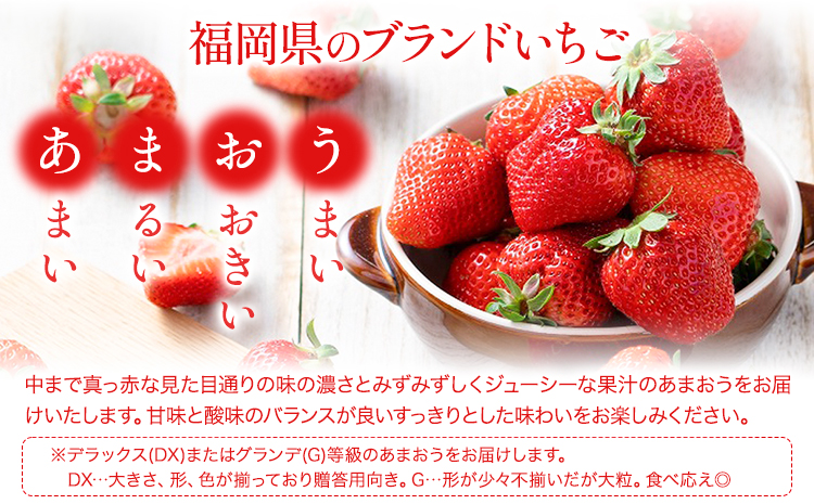 福岡県産 冬あまおう 2パック 南国フルーツ株式会社《12月上旬-1月末頃出荷》福岡県 小竹町 あまおう いちご イチゴ 送料無料【配送不可地域あり】---sc_cnngkam_af12_24_140