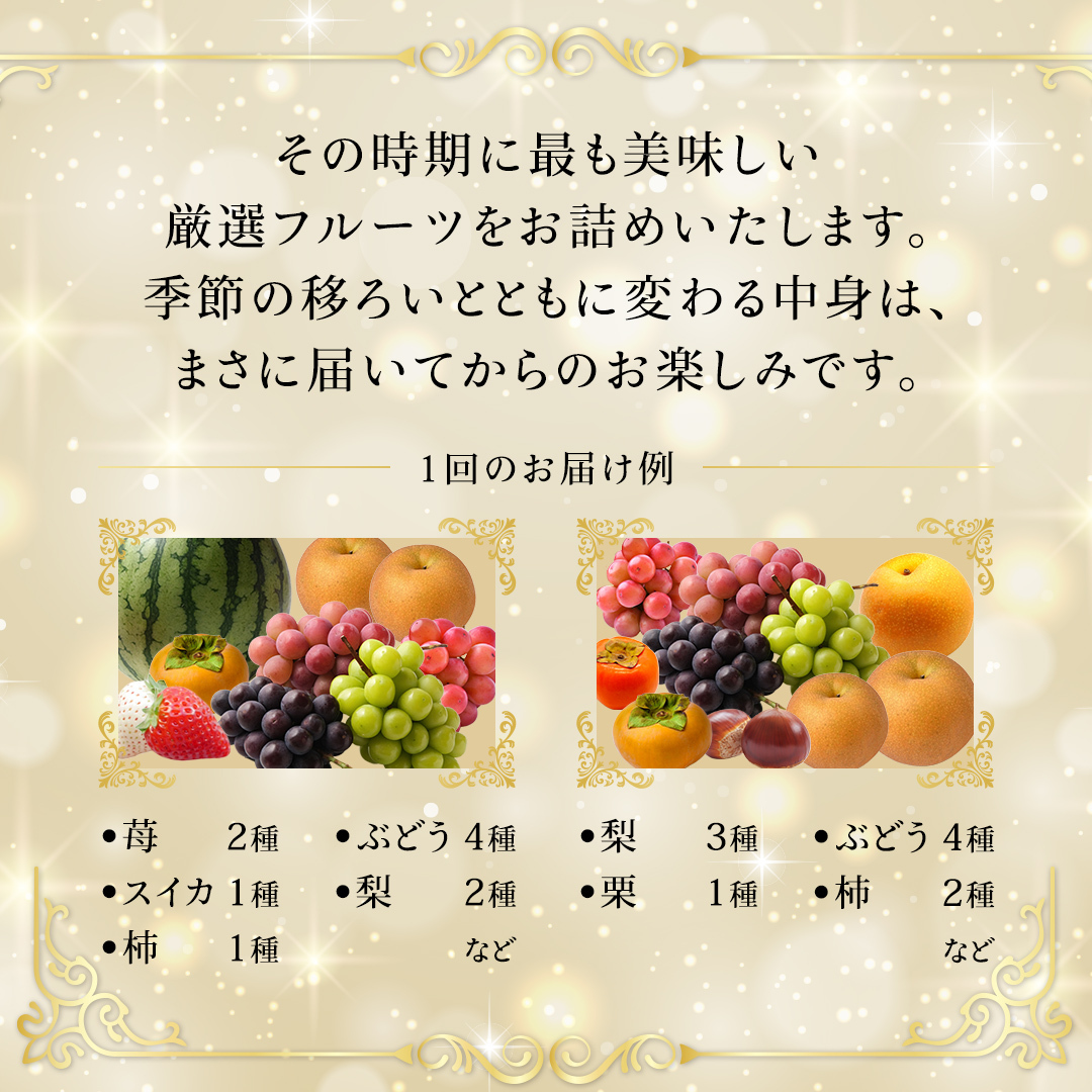 【化粧箱入り2段】厳選フルーツ 10〜12種プレミアムセット（茨城県共通返礼品）  田舎の頑固おやじが厳選！ 人気 厳選 果物 くだもの 旬 旬の果物 旬のフルーツ 上級品 極上 贅沢 極み フルーツ