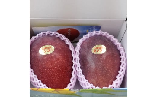★【先行受付】【2025年発送】アップルマンゴー 秀品 南城市 約1kg (2～3玉)