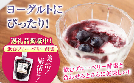 【全3回定期便】冷凍ブルーベリー 計1.2kg ( 400g × 3パック ) 熊本県産冷凍ブルーベリー 山都町産冷凍ブルーベリー ブルーベリー フルーツ ブルーベリースムージー 果物 小分け冷凍ブル