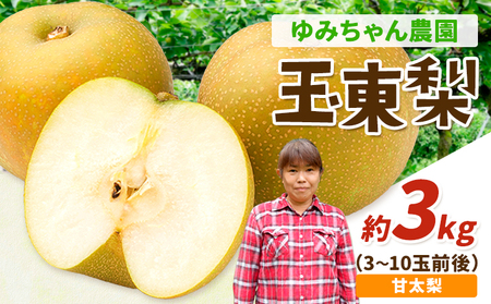 ゆみちゃん農園の玉東梨 甘太梨 約3kg(3～10玉前後)《2026年8月下旬-10月上旬頃出荷》 熊本県玉名郡玉東町 ｜ブランド梨 人気梨 特産品梨 熊本県梨 玉東町梨 大人気返礼品