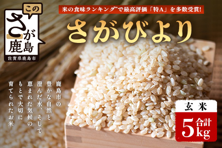 先行受付 ＼生産者直送／ さがびより 玄米5kg 佐賀県産さがびより 佐賀県鹿島市 C-152 玄米5kg