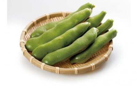 ＜先行予約！2027年5月上旬以降順次発送予定＞そらまめ (約4kg) 豆 ソラマメ 野菜 【man071-B】【Aglio nero】